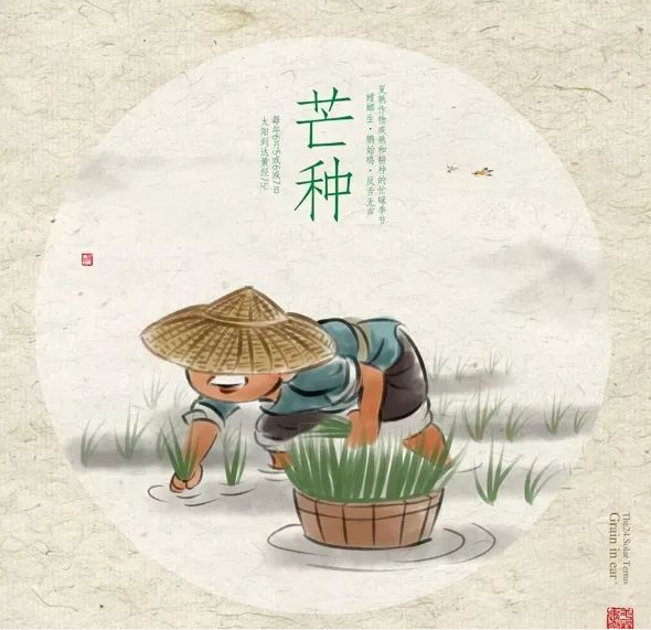 芒種時節(jié)，習(xí)俗不“盲”-普樂斯等離子清洗機